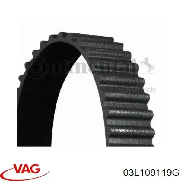 Correa de distribución VAG 03L109119G precio, desde 49,99 EUR