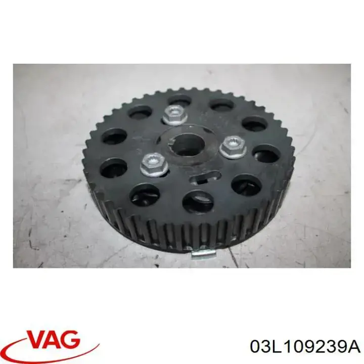 Comprar 03L109239A VAG Brida del engranaje del árbol de levas