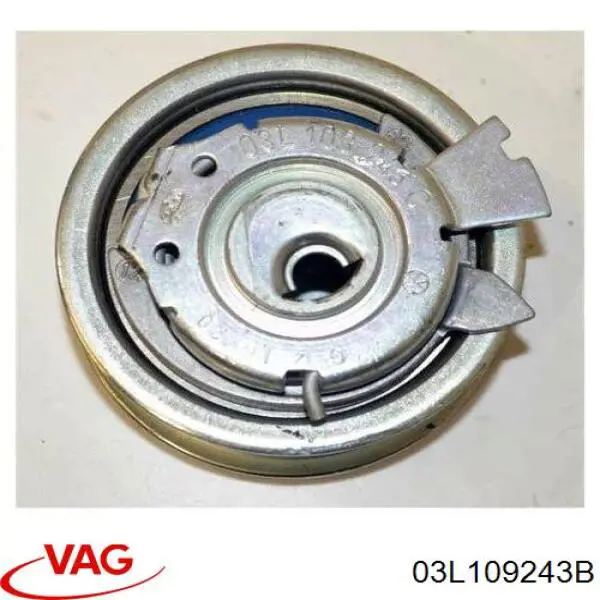 Rodillo, cadena de distribución Audi A6 4G2, 4GC