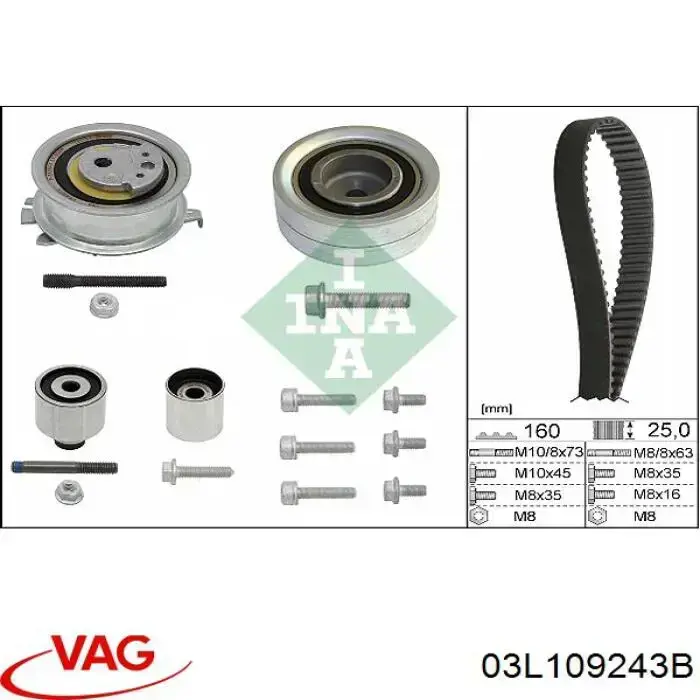 Rodillo, cadena de distribución Audi A6 4G2, 4GC