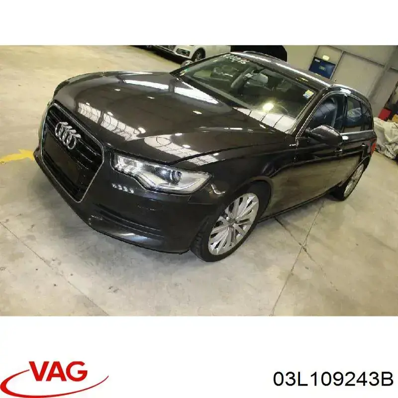 Rodillo, cadena de distribución Audi A6 4G2, 4GC