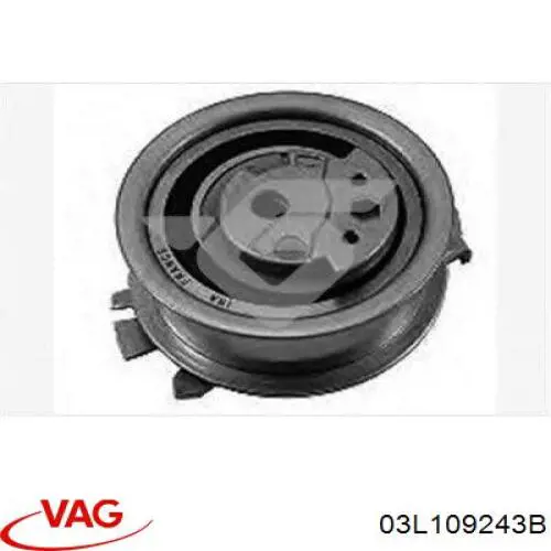 Rodillo, cadena de distribución Audi A6 4G2, 4GC