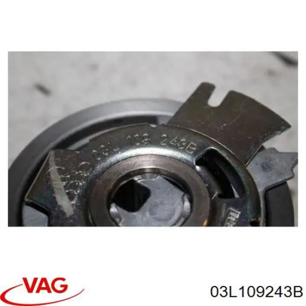 Rodillo, cadena de distribución Audi A6 4G2, 4GC