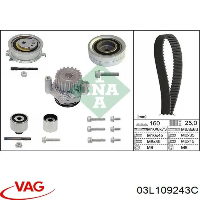 Rodillo, cadena de distribución Audi A6 4G2, 4GC