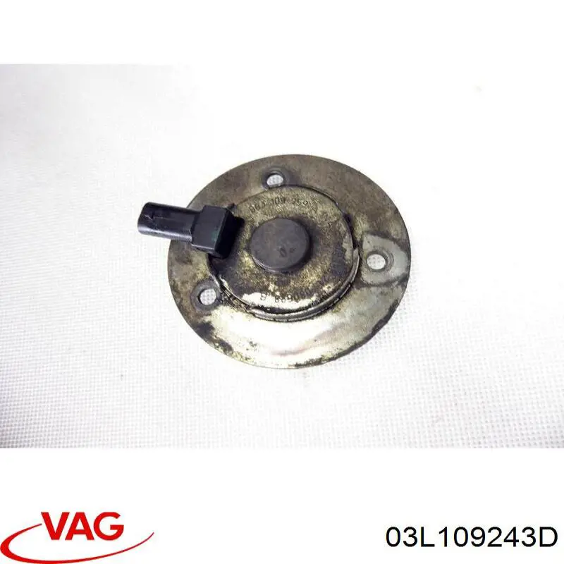 Rodillo, cadena de distribución Audi A6 4G2, 4GC