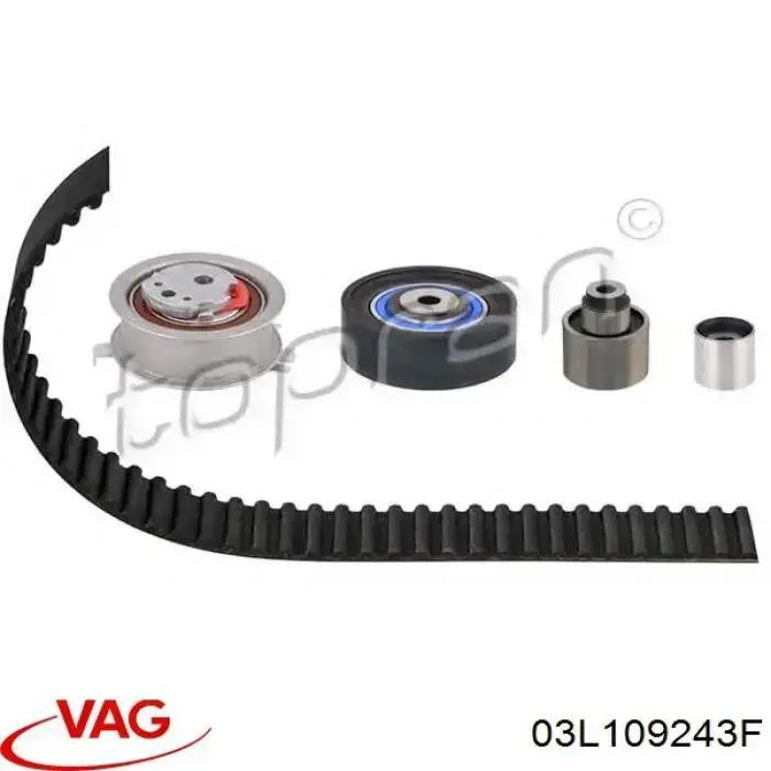 Rodillo, cadena de distribución Audi A6 4G2, 4GC