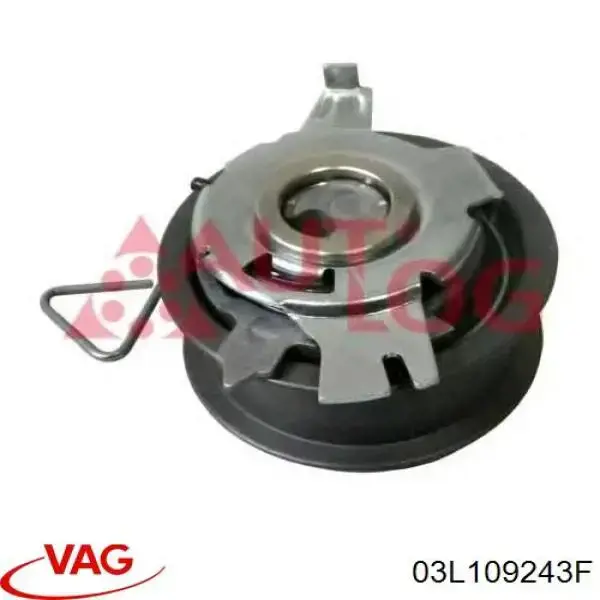 Rodillo, cadena de distribución Audi A6 4G2, 4GC