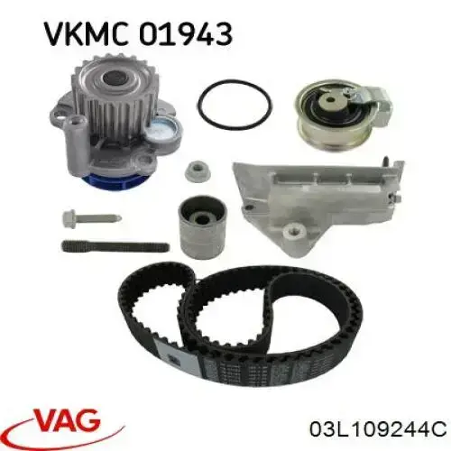 Comprar 03L109244C VAG Polea correa distribución