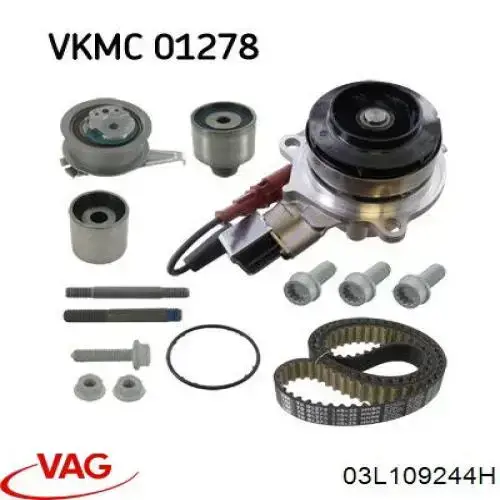 Polea correa distribución 03L109244H VAG