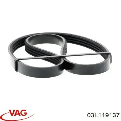 Correa accesorios VAG 03L119137