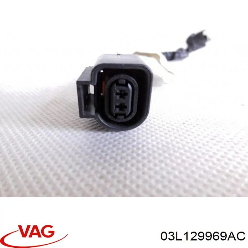  VAG 03L129969AC precio, desde 29,39 EUR