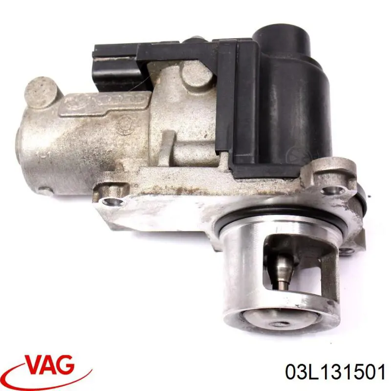 03L131501 VAG Válvula EGR