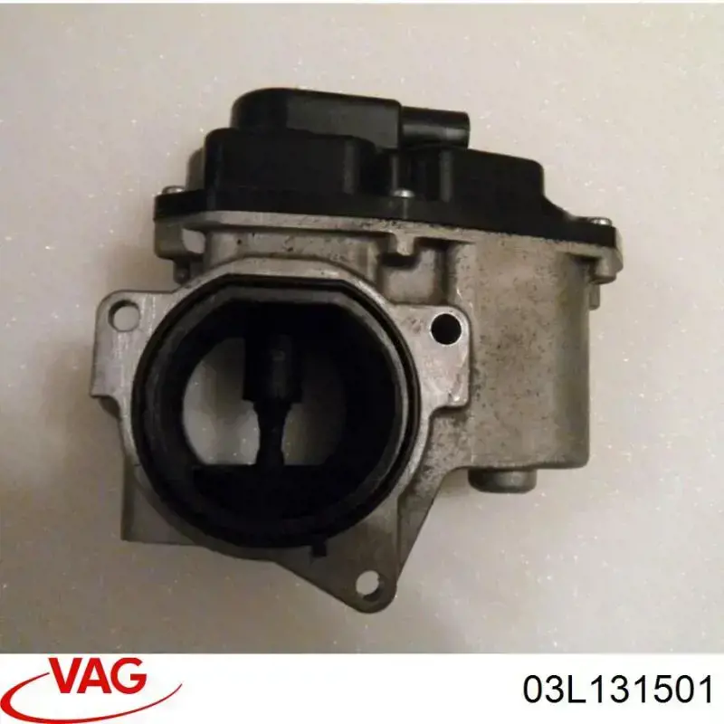 Comprar 03L131501 VAG Válvula EGR