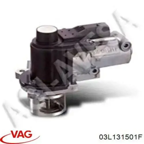 Válvula EGR 03L131501F VAG