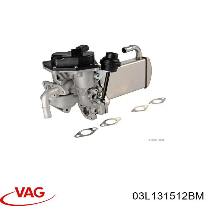 Comprar 03L131512BM VAG Enfriador de recirculación de gases de escape EGR
