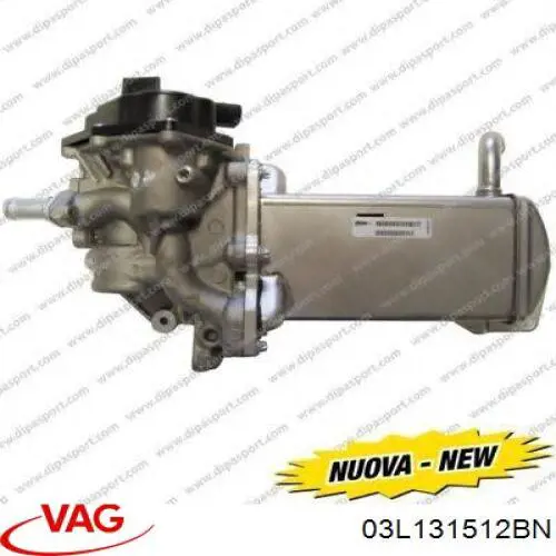 Enfriador de recirculación de gases de escape EGR VAG 03L131512BN precio, desde 165,75 EUR