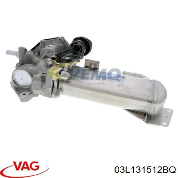 Enfriador de recirculación de gases de escape EGR VAG 03L131512BQ precio, desde 159,72 EUR