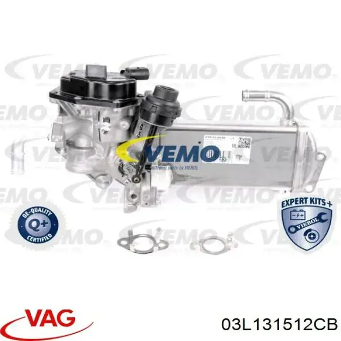 Enfriador de recirculación de gases de escape EGR VAG 03L131512CB precio, desde 213,28 EUR
