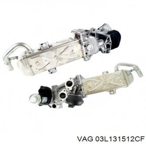 Enfriador de recirculación de gases de escape EGR VAG 03L131512CF precio, desde 77,14 EUR