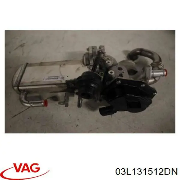 Enfriador de recirculación de gases de escape EGR VAG 03L131512DN precio, desde 159,72 EUR