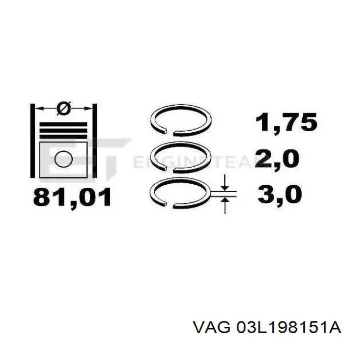 Juego de anillos de pistón para 1 cilindro, STD VAG 03L198151A precio, desde 23,55 EUR