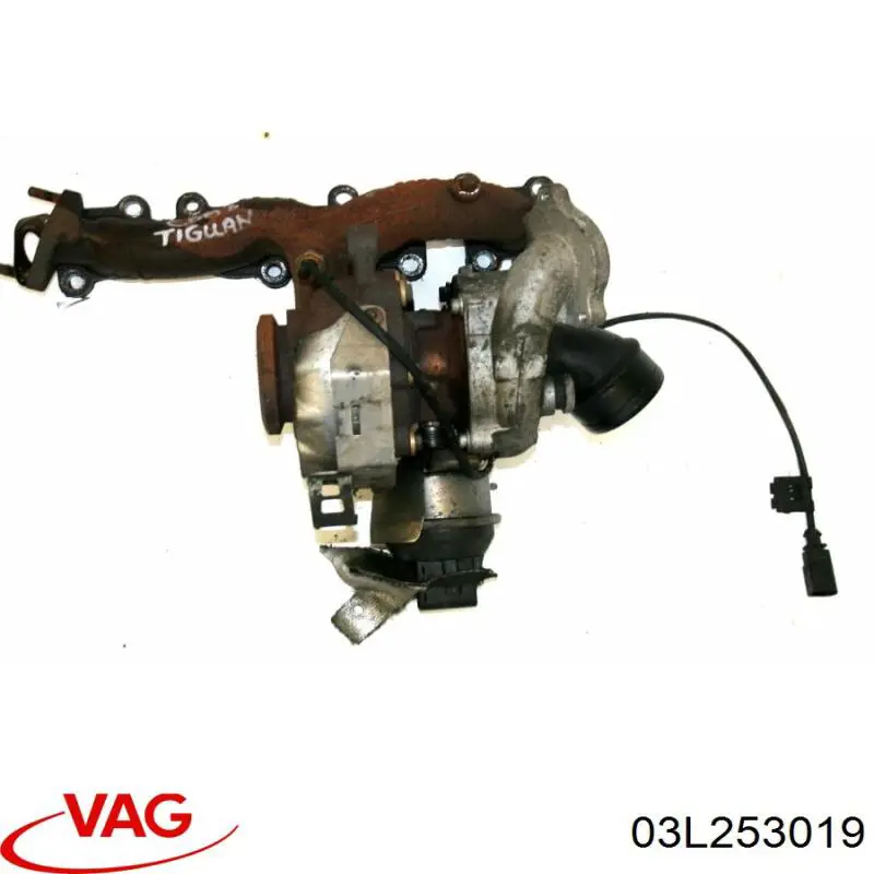 03L253019 VAG