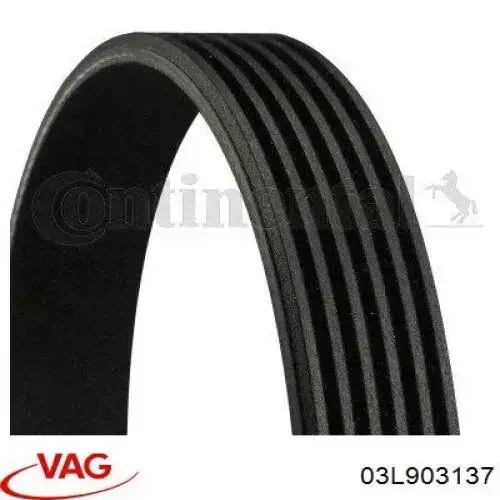 Comprar 03L903137 VAG Correa trapezoidal