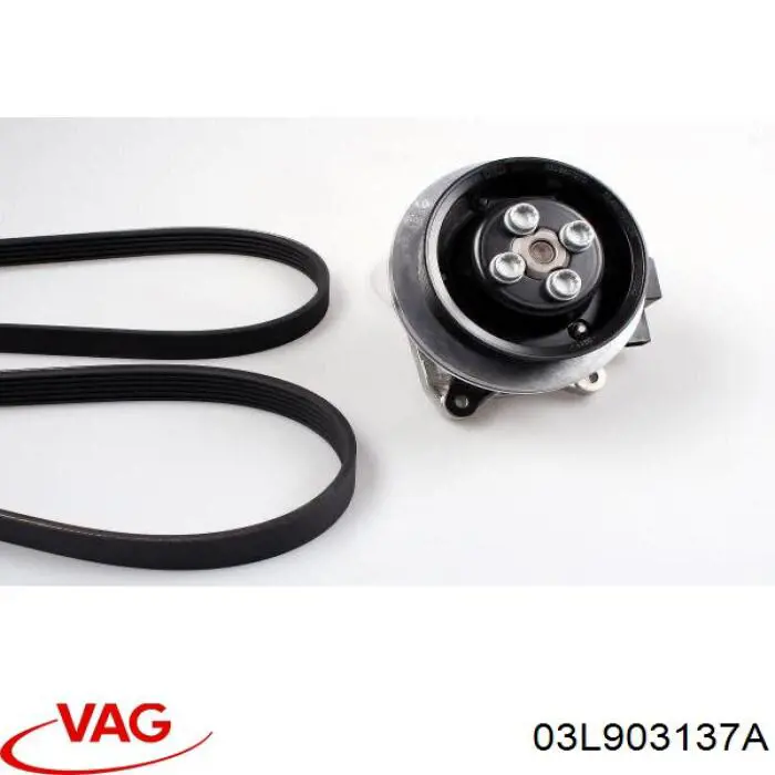 Correa de transmisión trapezoidal VAG 03L903137A precio, desde 15,03 EUR