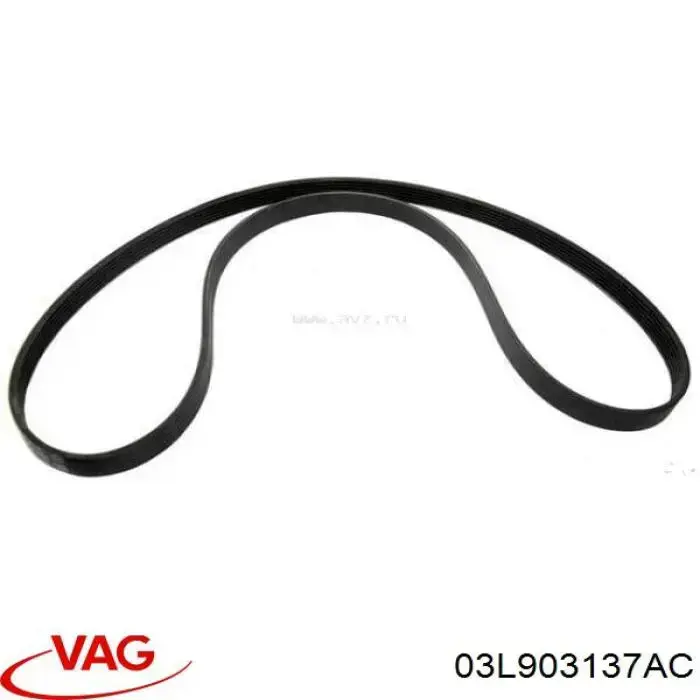 Correa accesorios VAG 03L903137AC