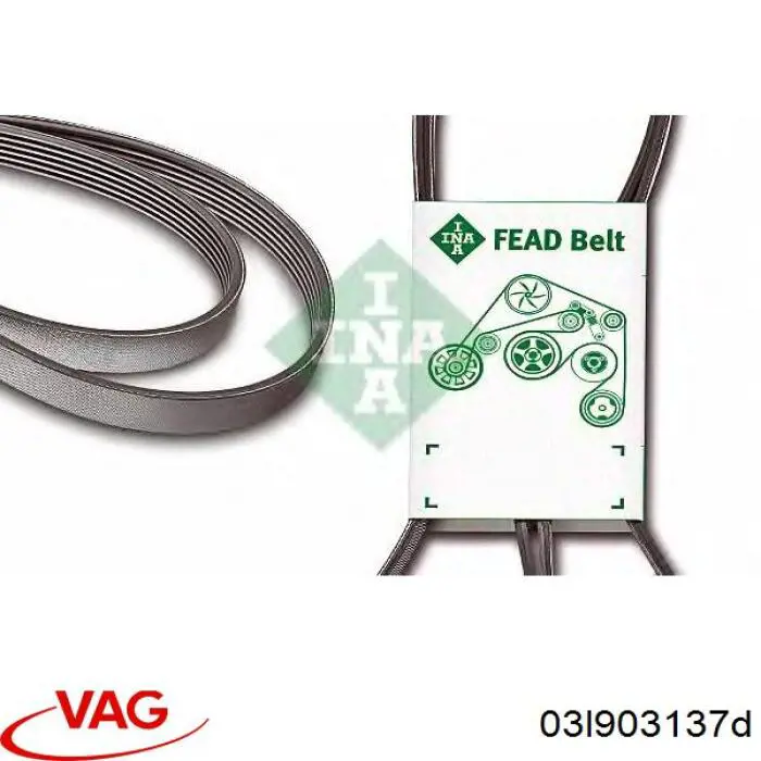 Correa trapezoidal Peugeot Partner 1 5F