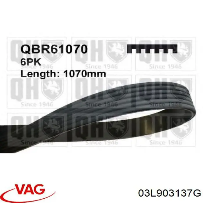 Correa de transmisión trapezoidal VAG 03L903137G precio, desde 15,93 EUR