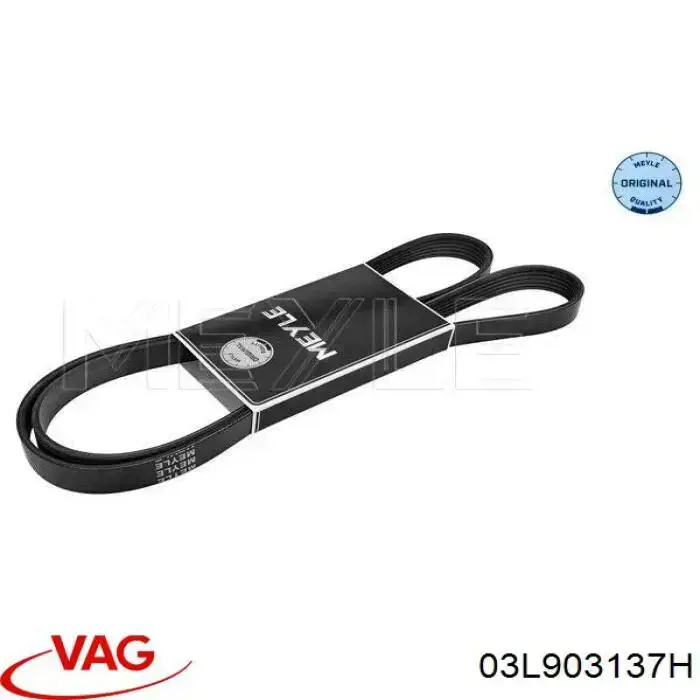 Correa de alternador 03L903137H VAG
