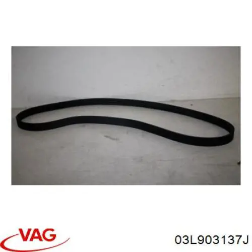 Correa de alternador 066145933K VAG