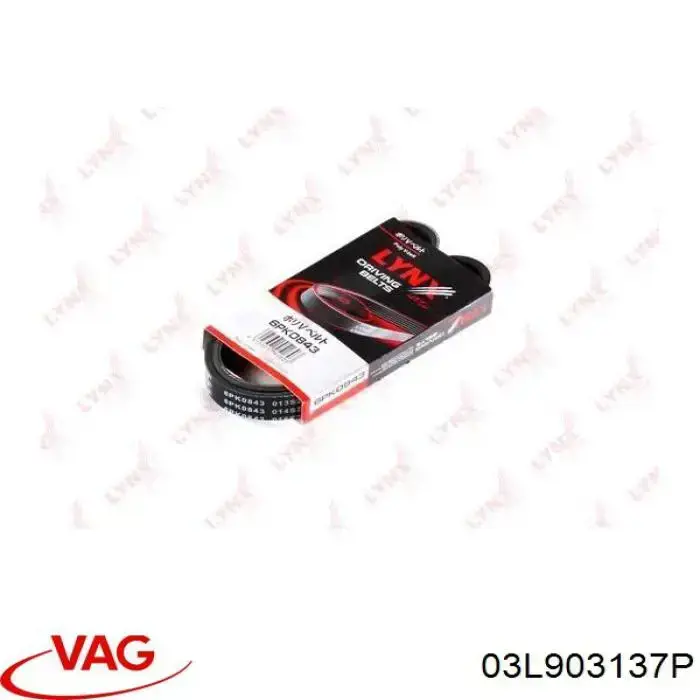 Correa de alternador 117200593R Renault (RVI)