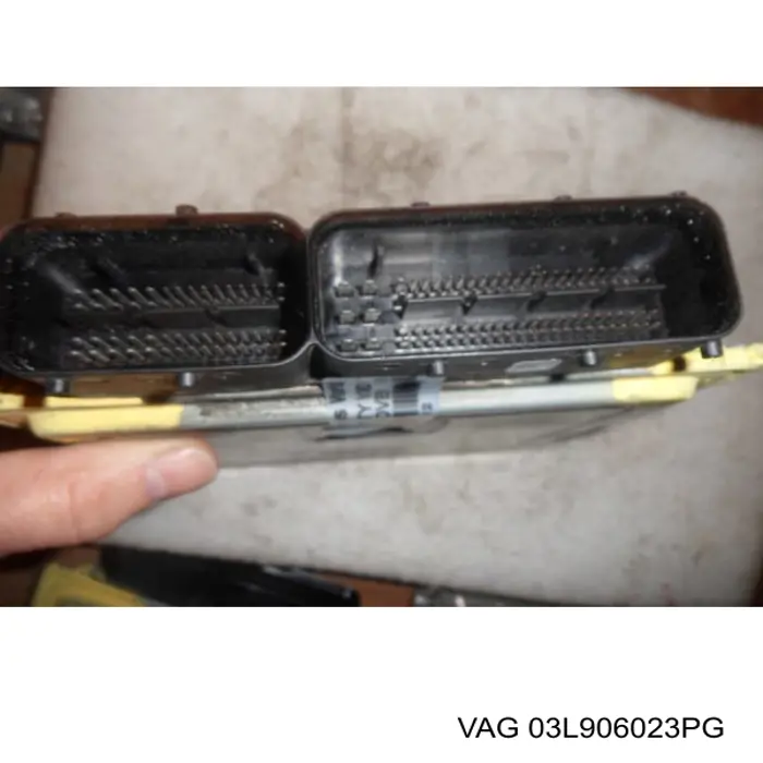 03L906023PG VAG Centralina Del Motor