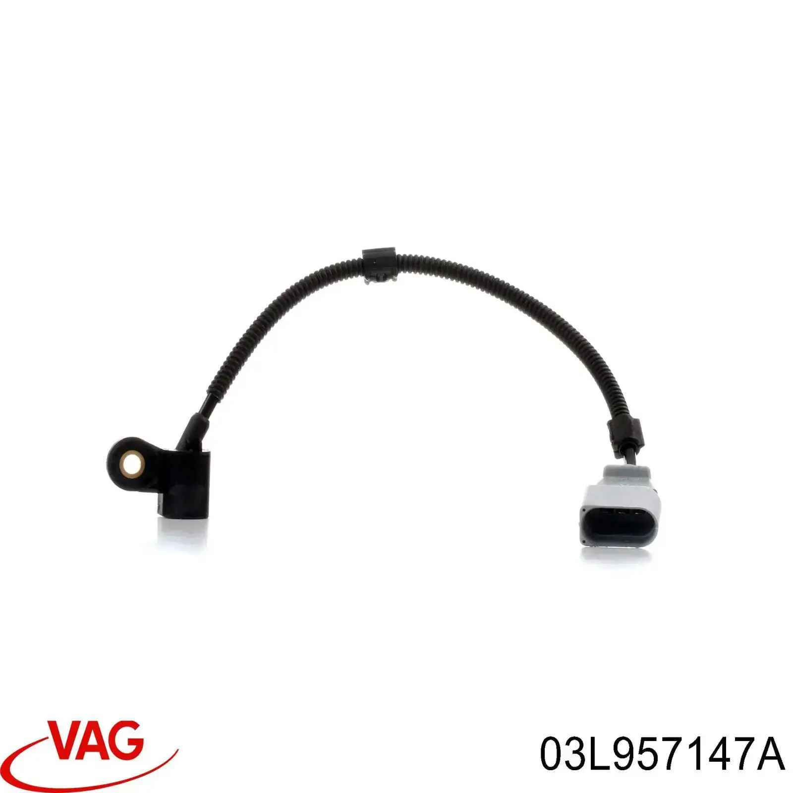 03L957147A VAG