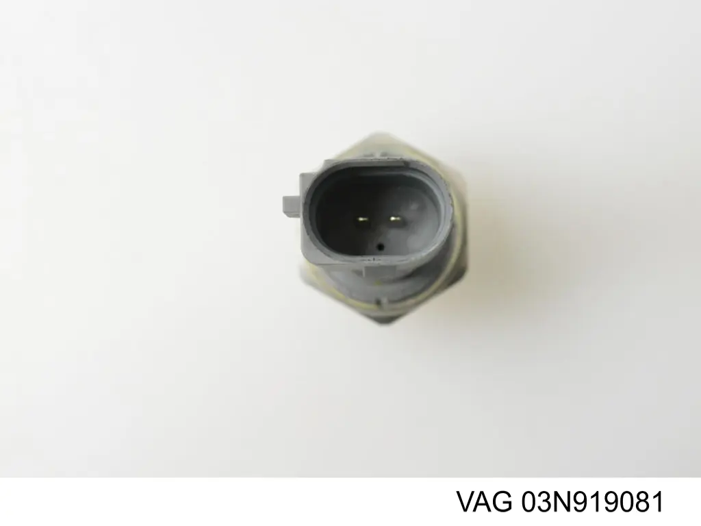 621553 Hans Pries (Topran) sensor de presión de aceite