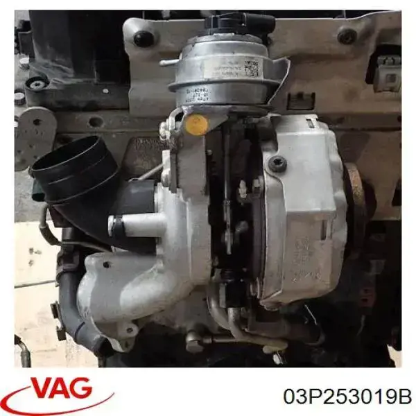 Comprar 03P253019B VAG Turbo de coche
