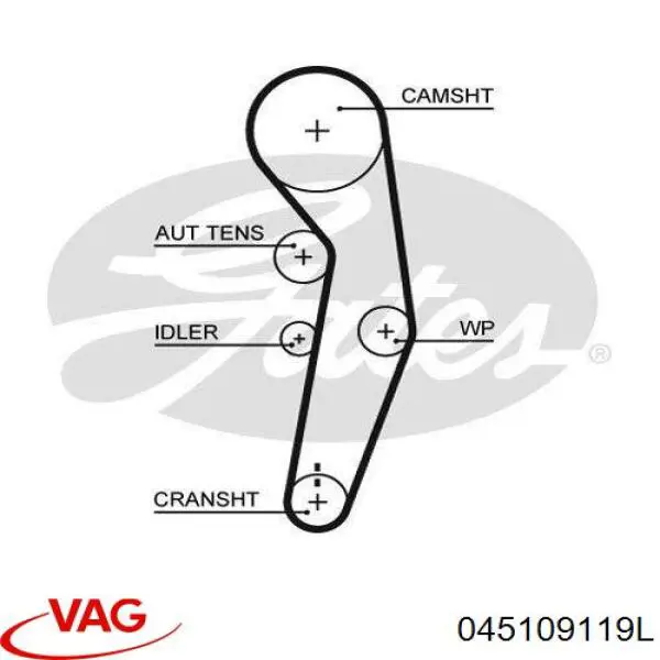 Comprar 045109119L VAG Correa distribución