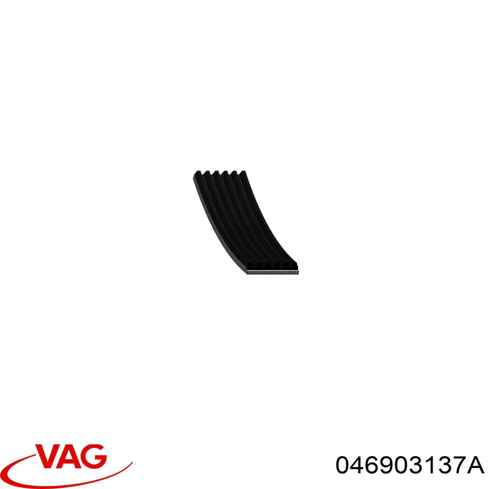 046903137A VAG Correa poly v