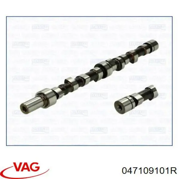 047109101R VAG Kit árbol de levas