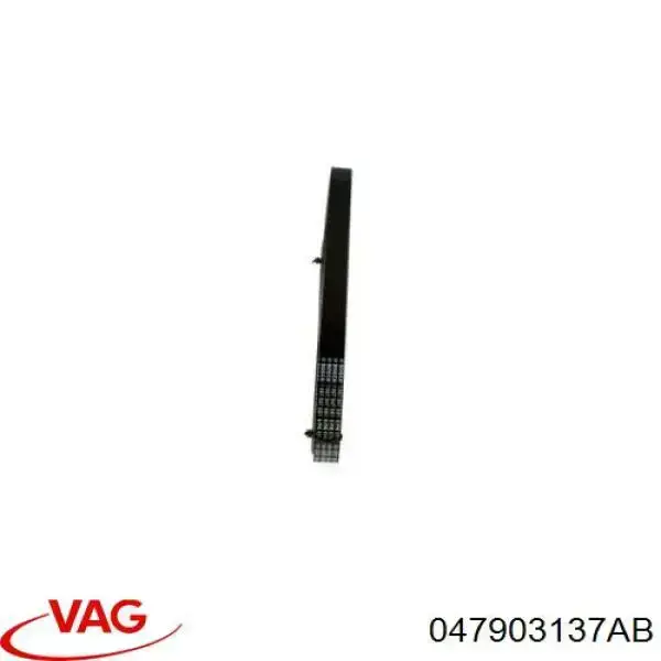 Correa de alternador 047903137AB VAG