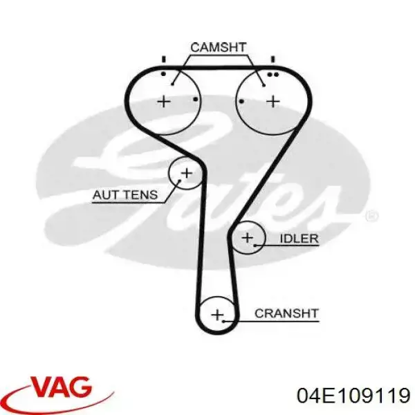 04E109119 VAG correa distribucion