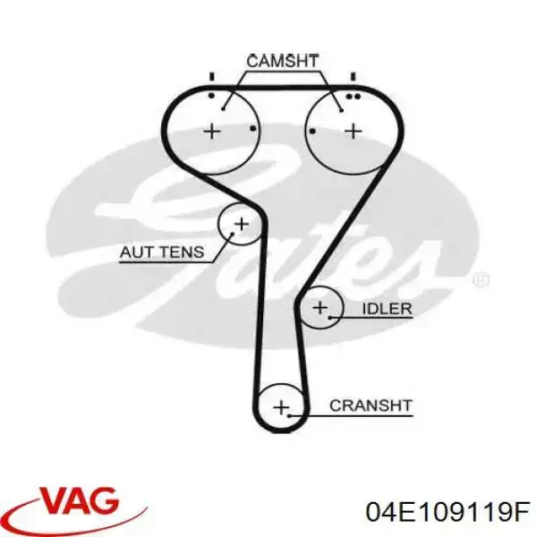 04E109119F VAG correa distribucion