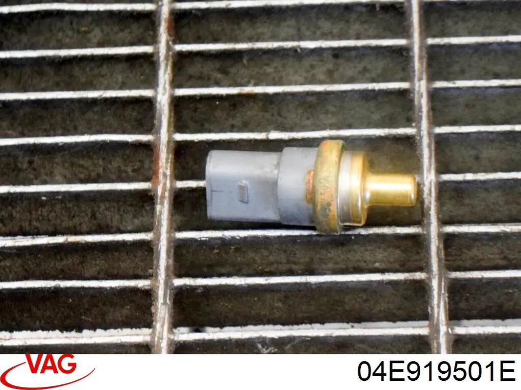 Sensor de temperatura del refrigerante VAG 04E919501E precio, desde 48,49 EUR