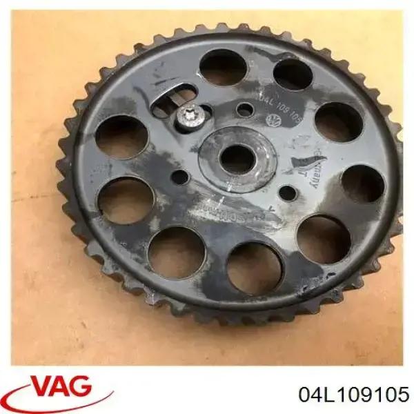 Piñón cadena distribución VAG 04L109105