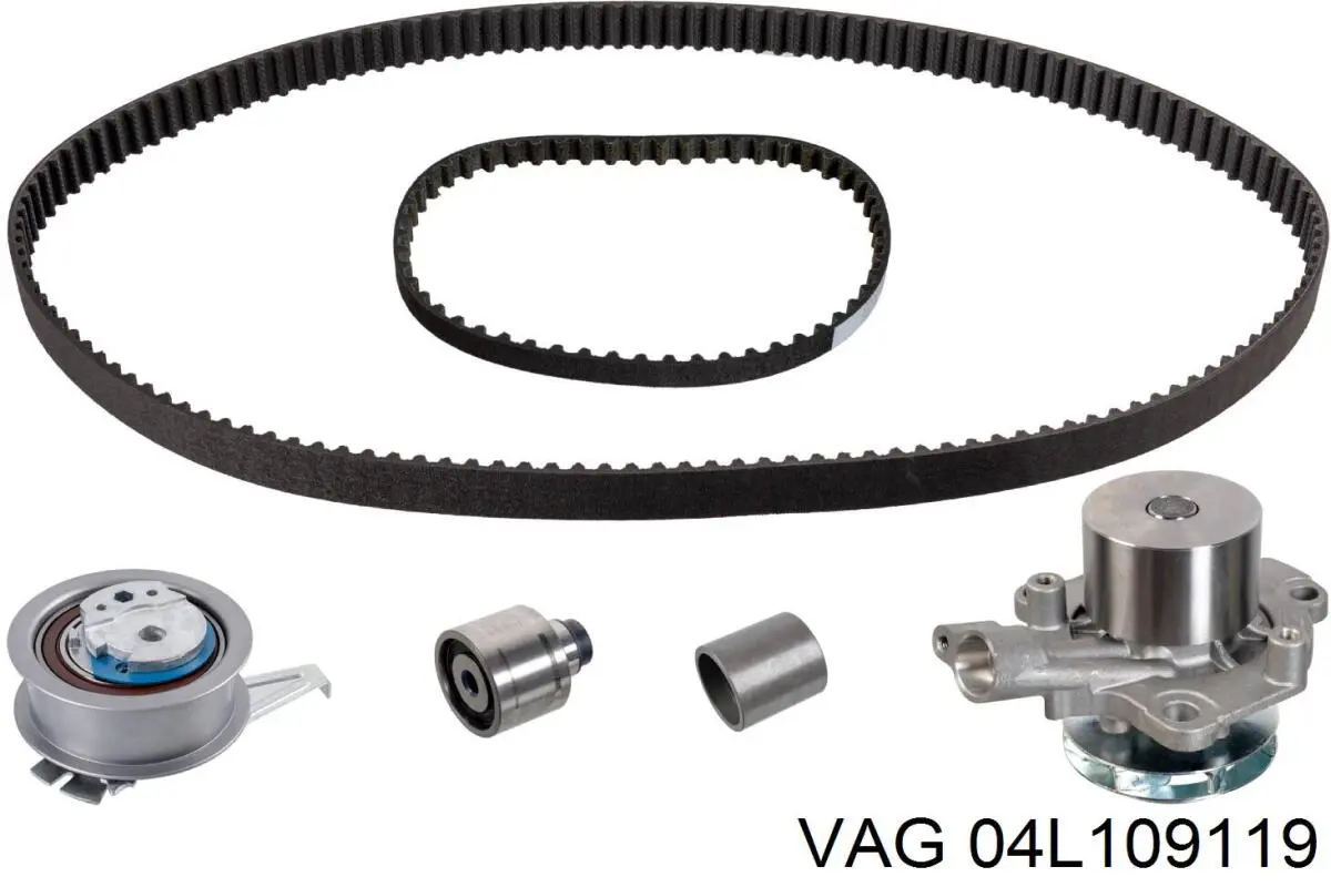 Correa distribución 04L109119 VAG