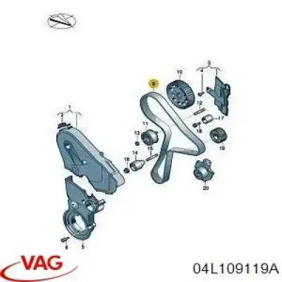 Comprar 04L109119A VAG Correa distribución