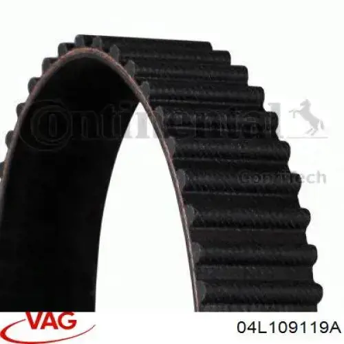 04L109119A VAG correa distribucion