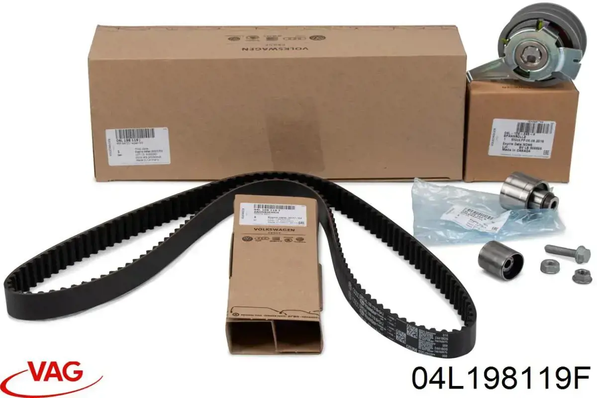 Comprar 04L198119F VAG Kit de correa de distribución